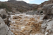 Flash flood, Wadi Tzeelim, Negev Desert, Israel