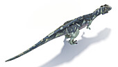 Acrocanthosaurus dinosaur, illustration