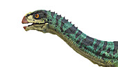 Chilesaurus dinosaur, illustration