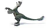 Oviraptor dinosaur, illustration