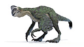 Oviraptor dinosaur, illustration