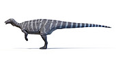 Thescelosaurus dinosaur, illustration