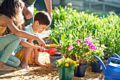 Brother and sister planting flowers in summer garden