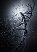 DNA, illustration