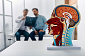 Neurology, conceptual image