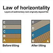 Law of horizontality, illustration