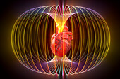 Heart in energy field, conceptual illustration