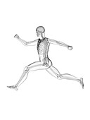 Man running, illustration
