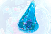 Cells in a water drop, illustration