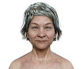 Middle-aged woman's head and shoulders, illustration
