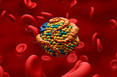 High density lipoprotein, illustration