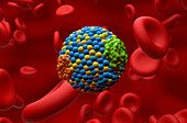 Low density lipoprotein, illustration