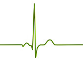 Healthy heartbeat rhythm, illustration