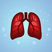 Human lungs, conceptual illustration