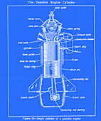 Single cylinder of a gasoline engine, illustration