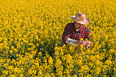 Farmer examining rapeseed crops