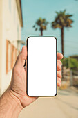 Person holding smartphone with blank screen