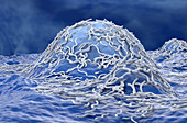Ependymoma cancer cells, illustration