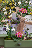 Narzissen (Narcissus) 'Sailboat', 'Tete a Tete', Primeln, Windröschen, Traubenhyazinthen in Blumenkästen und alter Schublade auf der Terrasse mit Osterhase und Eiern