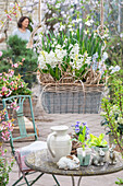Hyazinthen (Hyacinthus), Kegelblume, Märzenbecher (Leucojum Vernum), in Blumenampel und Tisch mit Osterdeko, Hasenfiguren auf der Terrasse