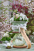Tiered flower pot made of horned violets, daisies and glass vase, Easter eggs in small moss nest with feathers and Easter greeting