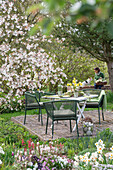 Gedeckter Tisch für Osterfrühstück mit Blumen und Eiern vor Blumenbeet und Felsenbirne