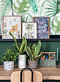 Desk with plant decorations and colourful posters in front of botanical wallpaper