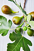 Figs and fig leaves