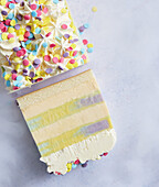 Rainbow Billabong ice cream cake