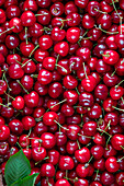 Cherries (picture-filling)