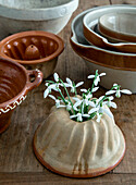 Snowdrops (Galanthus) in an old gugelhupf ceramic pot