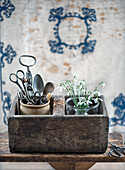 Old wooden box with antique kitchen utensils and snowdrops (Galanthus)