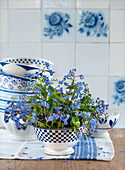 Forget-me-not (Myosotis) in blue and white ceramic bowl in front of wall tiles with floral pattern