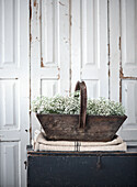 Wooden basket with gypsophila on linen cloth in front of wooden door