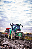 Tractor harvesting potatoes in the Netherlands