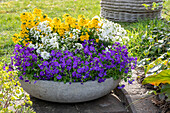 Colourful flower arrangement in a bowl in the garden - blue cushion 'Just Spring Blue', ribbon flower 'Candy Ice', gold lacquer 'Winter Power', 'Winter Cream'