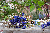 Blumenstrauß aus Felsenbirne (Amelanchier), Traubenhyazinthen (Muscari) und Hyazinthe (Hyacinthus) auf Bank liegend