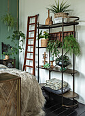 Metal shelf with houseplants, ladder and home accessories in the bedroom