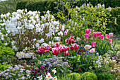 Tulips 'Angelique', 'Siesta', 'Holland Chic', ribbon flower 'Candy Ice', feather bush, forget-me-not, Japanese azalea, gold lacquer 'Winter Cream' in the border