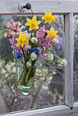 Blumenstrauß aus Narzissen, Windröschen, Hyazinthe, Traubenhyazinthen 'Withe Magic', Blaustern in Vase am Fenster hängend