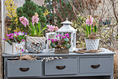 Spring cyclamen (Cyclamen coum), hyacinths (Hyacinthus), horned violets in planters and heart of pussy willows on an old chest of drawers