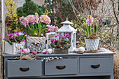 Spring cyclamen (Cyclamen coum), hyacinths (Hyacinthus), horned violets in planters and Easter eggs on an old chest of drawers