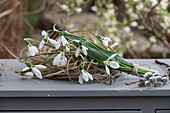 Schneeglöckchen (Galanthus Nivalis) als Blumenstrauß  mit Palmkätzchen und Vogelnest