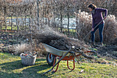 Frau bei der Gartenarbeit, Zweige auf Schubkarren, Bäume zuschneiden