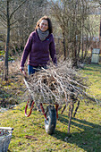 Woman gardening with wheelbarrow, trimming trees