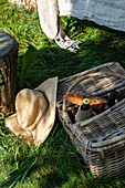 Picnic basket and straw hat in the sunny garden on a green lawn