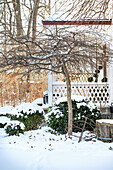 Snow-covered conservatory with bare tree and hedges in front of veranda