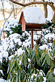 Verschneites Vogelhaus und Rhododendronsträucher im winterlichem Garten