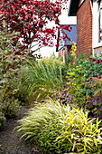 Gartenpfad durch Ziergräser und Ahornsträucher im Herbst