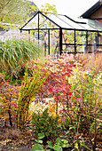 Bunte Herbstpflanzen vor einem modernen Gewächshaus im Garten